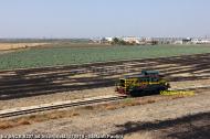 LOTRAS 8207
