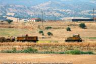 IMG_5782 copia.jpg