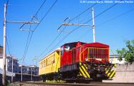 D 501