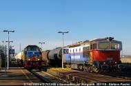 D.753.005 e D.146.2009