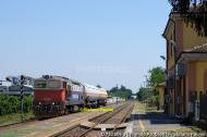 D.753.006