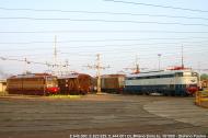 IMG_8932 copia.jpg