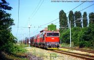 D.753.702 e D.753.703