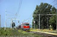 D.753.702 e D.753.703