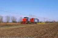 E.484.003 e D.100.003