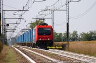 E.484.010