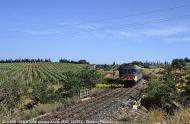 ALn 668.1096 e ALn 668.3006