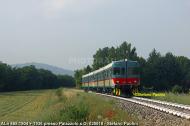 ALn 668.1904 e ALn 668.1936