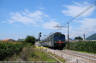 ALe 582.062