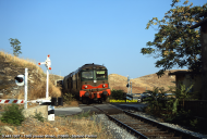 D.443.1007 e D.443.1005