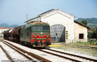 D.343.2003