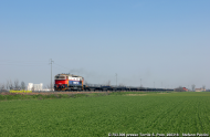 D.753.006