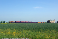 D.145.1012