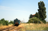 ALn 668.1702