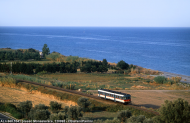 ALn 668.1041