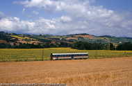 ALn 668.1402