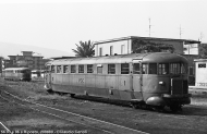 56.03 e 56.06