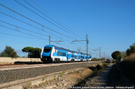 HTR 412.033