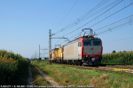 E.652.077 e D.165.005 e E.652.103