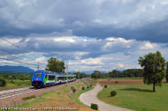 HTR 412.068