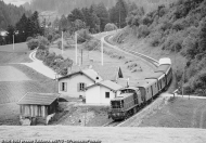 D.141.1004