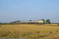 D.753.005