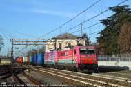 E.483.020 e E.494.564