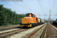 D.145.2055