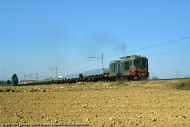 D.343.2031