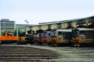 D.345 e D.443 sconosciuti