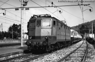 E.636.256