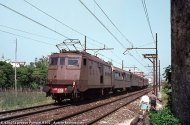 E.424 sconosciuto