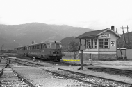 ALn 556.2235 e ALn 556.2286