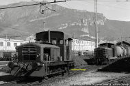 235 e 245 sconosciuti