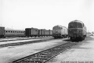 D.341.1027 e D.341.2004