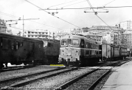 D.341.2019