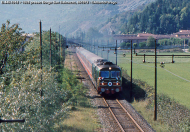 D.445.1018 e D.445.1028