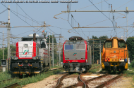 D.744.022, E.652.066 e D.145.1033