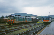 D.443.1012 e altra unità sconosciuta