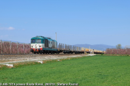 D.445.1019