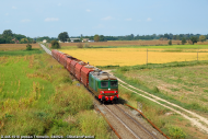 D.445.1018