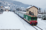 D.445.1050