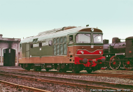 D.443.1002
