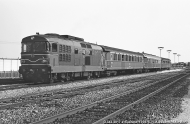 D.343.2017