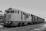 Cn.501