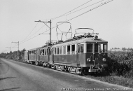 E.11 e rimorchi