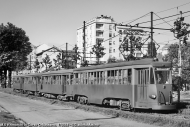M.5 e rimorchi