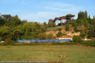 310 e rimorchi