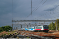 E.464.229 e E.464.256