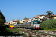 D.445.1119